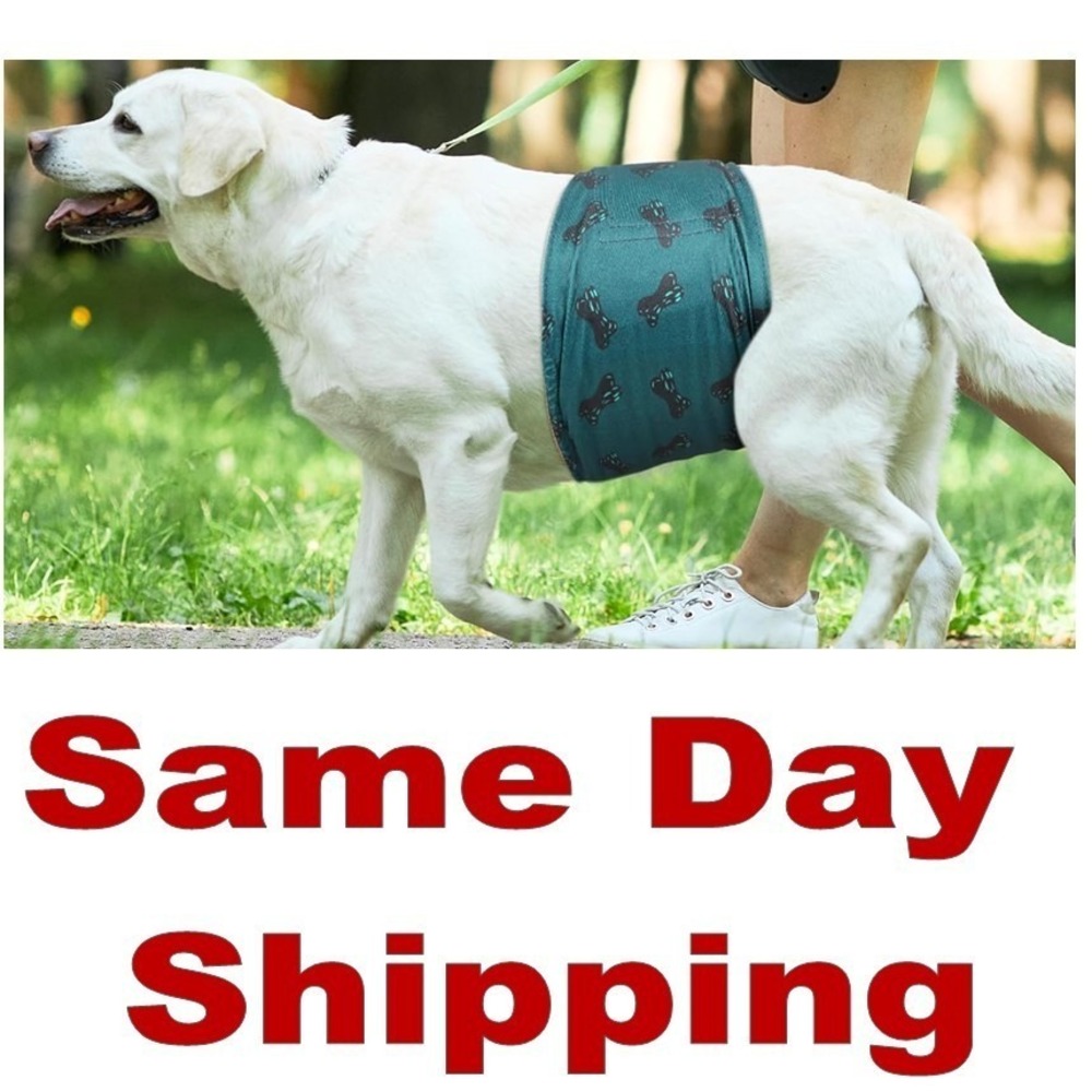 5 Pack Reusable Dog Diapers Male High Absorbing sz MED (Chest Girth 15" to 17")